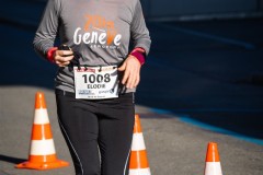 Course_10km_2022_0105