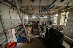 AbattoirPayerne_052