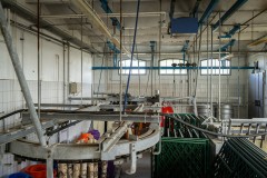 AbattoirPayerne_086