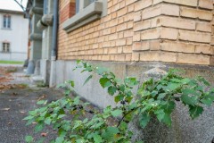 AbattoirPayerne_102