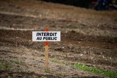 Motocross_Angora_Trey_2025_155