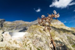 BarrageEmosson2022_021
