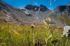 BarrageEmosson2022_030