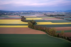 DJI_0020