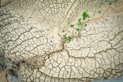 DJI_0036