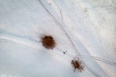 Trace dans la neige