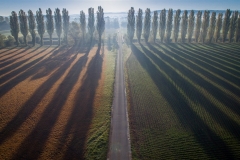 Contre jour (Suisse)