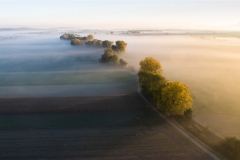 Brume matinale (Suisse)
