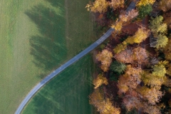 Forêt (Suisse)