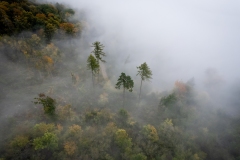 DJI_0015 DJI_0015
