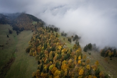 DJI_0036 DJI_0036