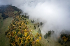 DJI_0037 DJI_0037