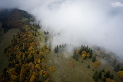 DJI_0038 DJI_0038