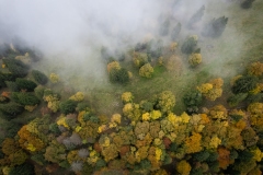 DJI_0043 DJI_0043