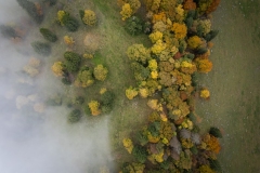 DJI_0044 DJI_0044