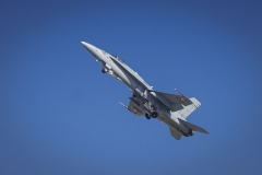 F/A-18 Swiss Hornet Solo Display Team