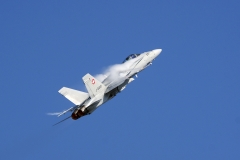 F/A-18 Swiss Hornet Solo Display Team
