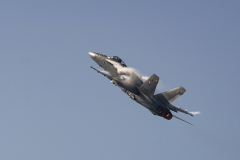 F/A-18 Swiss Hornet Solo Display Team