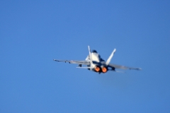 F/A-18 Swiss Hornet Solo Display Team