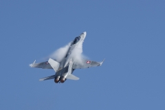 F/A-18 Swiss Hornet Solo Display Team