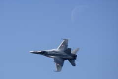 F/A-18 Swiss Hornet Solo Display Team