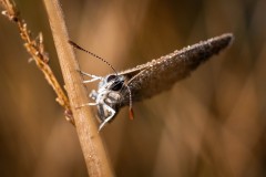 DSC00182