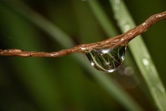 DSC00193