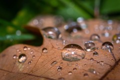 DSC00194