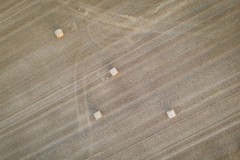 Rouleaux de paille dans un champ