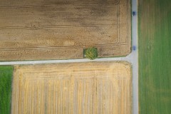 Intersection avec un arbre