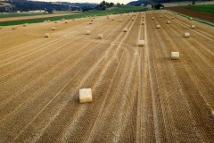 Rouleaux de paille dans un champ