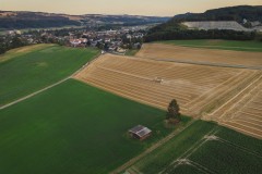 Moissonnage d'un champ