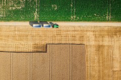 Tracteur attendant le blé