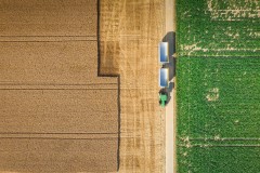 Tracteur attendant le blé