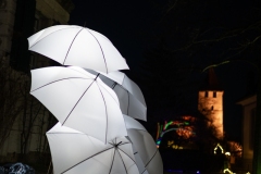 FestivalLumiereMorat2026_001