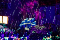 FestivalLumiereMorat2026_003