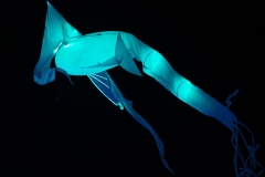 FestivalLumiereMorat2026_015