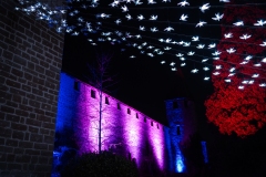 FestivalLumiereMorat2026_021