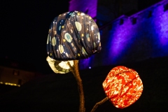 FestivalLumiereMorat2026_026