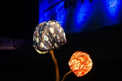 FestivalLumiereMorat2026_027