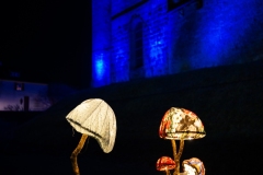 FestivalLumiereMorat2026_028