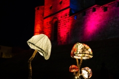 FestivalLumiereMorat2026_029