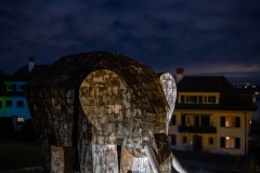 FestivalLumiereMorat2026_038