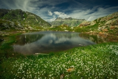Col du Grimsel