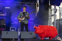 RedPigs_2019_010