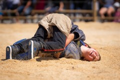 Fête de la lutte 2019