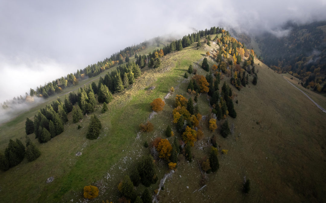 Parc du Chasseral